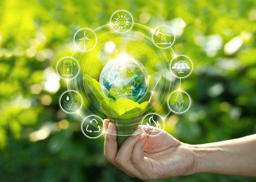 eco banner
