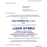 Lider Rynku 2013 Eko-Serwis Sp. z.o.o